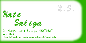 mate saliga business card